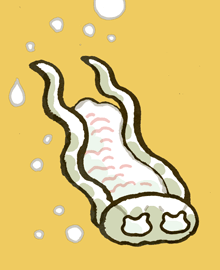 はくちゅう　白虫