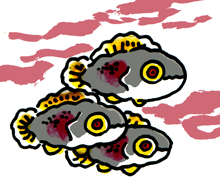 むちょうたんぎょ　無腸膽魚
