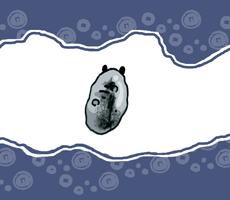 ちょうぎんのなめくじら　丁銀の蛞蝓