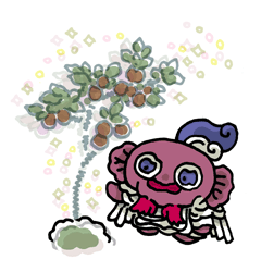 しゅそう　種棗