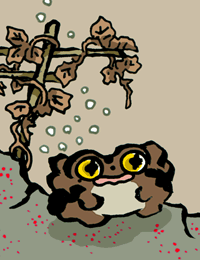 ふるだびっき　蟇蛙