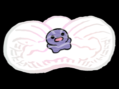 いんけん　婬繭