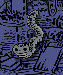 やどうし　宿主