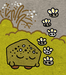 あらむぎ　あら麦