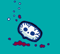 うかれるたま　浮る霊