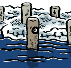 たぬきのくい　狸の杭