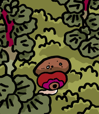 あかいいし　赤い石