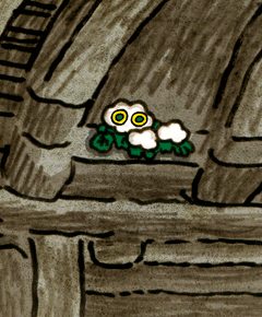てんじょうか　天井花