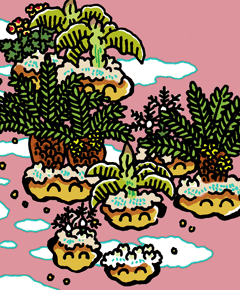 てんじくのくさき 天竺の草木