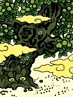 ふるいうめのき　古い梅の木