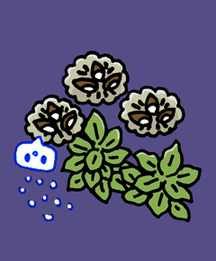 あしきみ