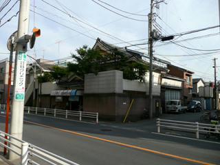 全景