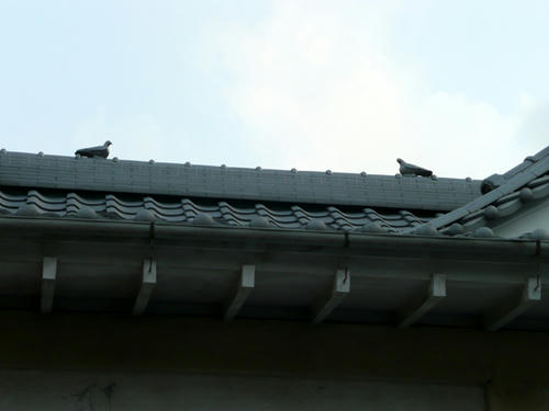 屋根には鳩の細工が（クリックすると大きな画像が見られます）