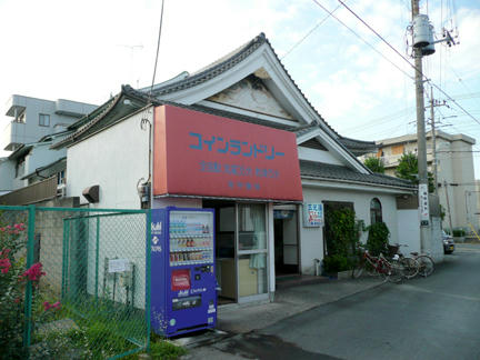 全景