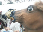 111105_112112.jpg