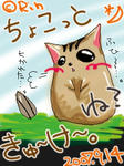 ちょこっと休憩中