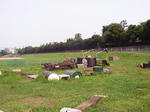 SANY0053.JPG