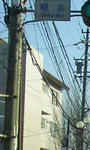 090402_161853.JPG