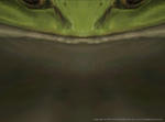 Tam101222120127a.jpg