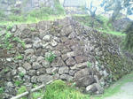 99d454e6.jpg