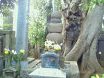f2a6352e.jpg
