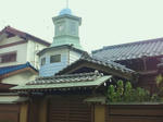 0320f539.jpg