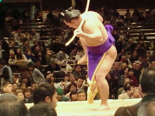fc32c5c8.jpeg