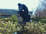 c7019318.jpeg