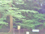 20053cb4.jpeg