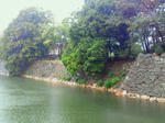 d7681912.jpeg