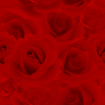 薔薇敷詰め壁紙