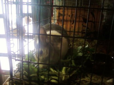 とりあえず食べるマリ