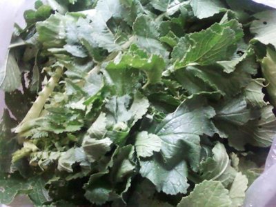 大根菜食べ放題