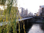 五条の橋