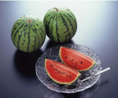 FI2621676_1E.jpg