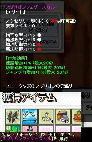 SS0196.JPG