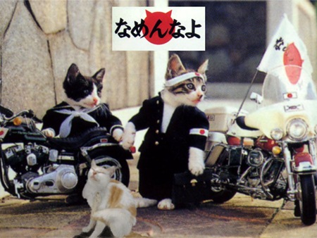 nameneko.jpg