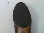 P20110331-helf-sole-1.JPG