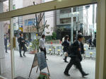 P20110408-morning.JPG
