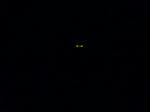 P20110605-hotaru-1.JPG