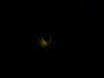 P20110605-hotaru-2.JPG