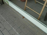 P20110701-ga-1.JPG