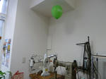 P20110712-baloom.JPG