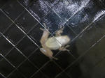 P20110714-flog.JPG