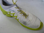 P20110823-sneaker-3.JPG