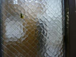 P20110909-flog.JPG