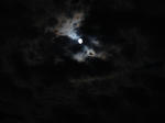 P20110913-meigetsu-2.JPG