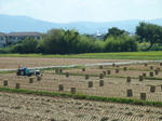 P20110915-tambo.JPG