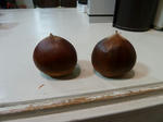 P20111008-maroon.JPG