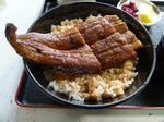 P20111017-unagi-don.JPG